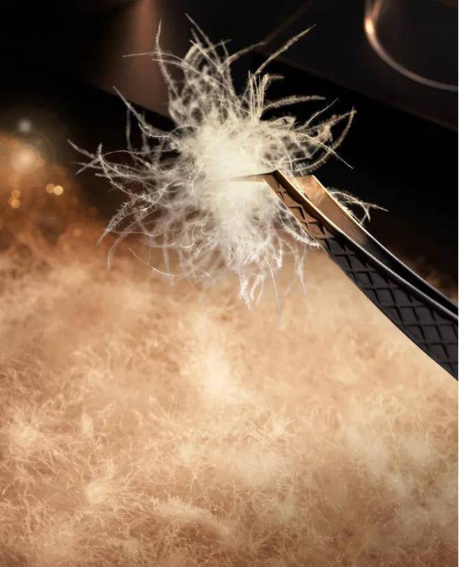 登顶第一总裁圈为何不爱“大鹅”却爱它pg电子模拟器试玩一年狂揽50亿3年(图6)